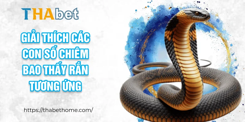 Giải thích các con số chiêm bao thấy rắn tương ứng