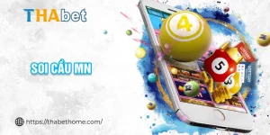 soi cầu mn